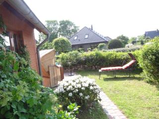 Uferschwalbe - Kopperby - 5