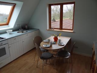 Uferschwalbe - Kopperby - 3