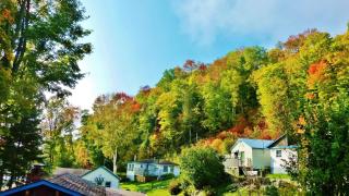 Silver Springs Cottage Resort - Harcourt - 2