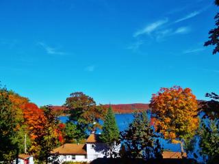 Silver Springs Cottage Resort - Harcourt - 9