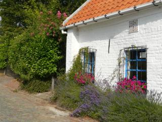 La Quitapenas - Ronse - 6