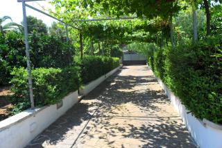 Bed&Breakfast L'Oasi - 4