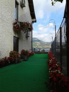 Rooms Jankovic - Donji Milanovac - 9