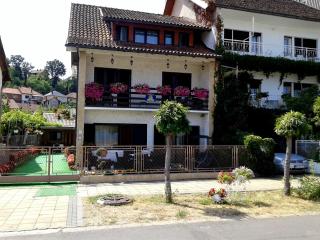 Rooms Jankovic - Donji Milanovac - 8