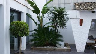 Hotel Salomé - Calafell - 3