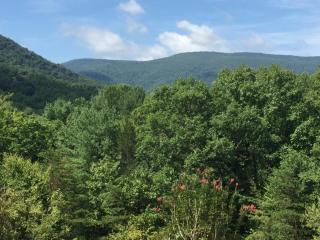 The Lodge in Sugar Hollow - Crozet - 8
