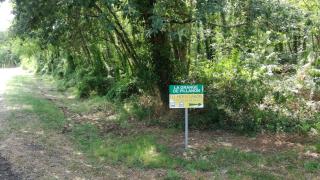 Les Hôtes Landes - Saint-Gor - 9