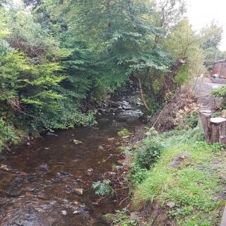 Bear Lodge - Auchterarder - 7