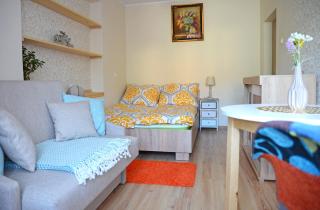 Apartament KARINA - Tylicz - 8