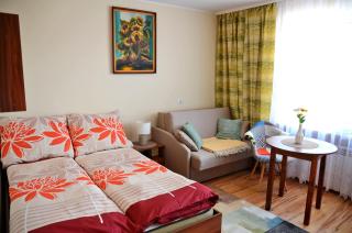 Apartament KARINA - Tylicz - 4