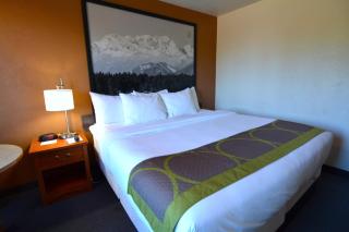 Super 8 by Wyndham Port Angeles at Olympic National Park - Port Angeles - 0