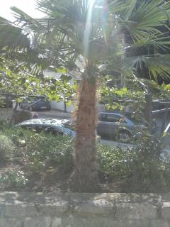 Apartmani Marić - Selce - 6