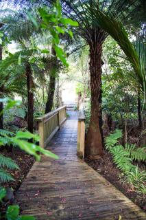 Hush Boutique Accommodation - Coromandel - 5