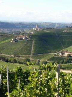 Casa Vacanze Bellovello - Barbaresco - 2