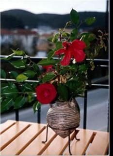Ionion Hotel - Syvota - 5