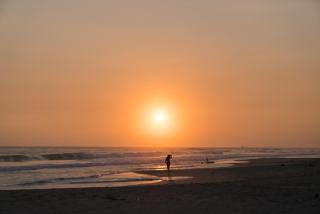 Bieshu Beach Hive - Habaraduwa - 7