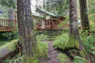 Papa Bear Cabin - 6
