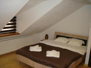 Apartament Romanita - Sibiu - 9