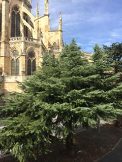 Suites La Catedral - León - 9