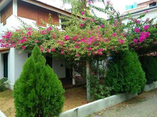 Nirmaa Shadow Inn - 8