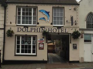 The Dolphin Hotel - 0
