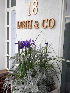 Lush & Co Auckland Bed & Breakfast - Auckland - 2