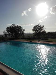 Le Pergoline B&B - Casciana Terme - 5