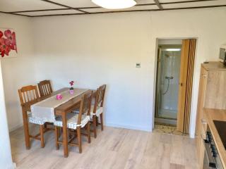 Haus auf der alten Düne 2 - Prerow - 3