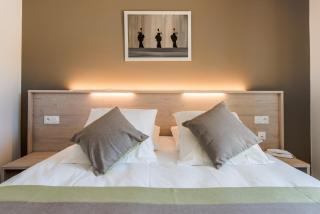 Hotel du Grand Parc - Gex - 1