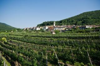 Charming B&B and Osteria La Crisalide - Meride - 6