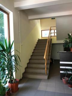 Pinul Negru 2 - Băile Herculane - 7