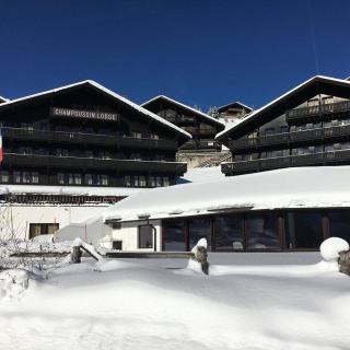 Champoussin Lodge - 8