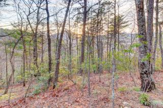 Misty View Cabin - Hatchertown - 9