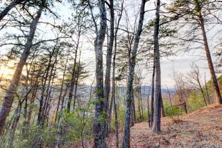 Misty View Cabin - Hatchertown - 7