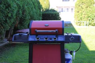 Flagship Motorcourt - 2