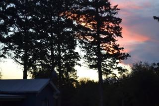 Casitas La Invernada - 6