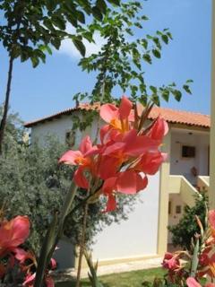 Hotel Heleni Apartments - Antica Epidauro - 0