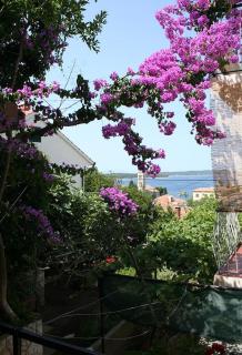 Apartments and rooms with parking space Hvar - 4613 - 1