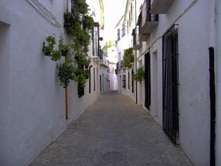 La Villa Priego de Cordoba - 4
