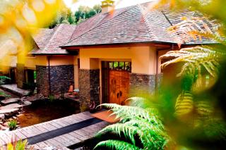 Treetops Lodge & Estate - Horohoro - 8