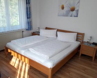 Gasthof-Pension Silvia - Haibach ob der Donau - 3