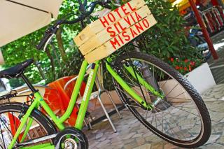 Hotel Silvia - Misano Adriatico - 5