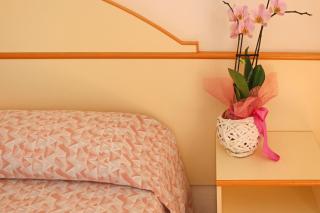 Hotel Silvia - Misano Adriatico - 7