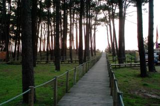 Parque de Campismo Orbitur Caminha - Caminha - 2