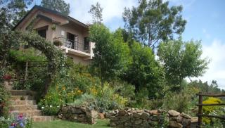 Stumpfields - Ooty - 9