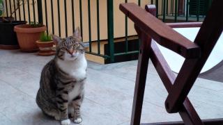 AWroom - Riomaggiore - 9