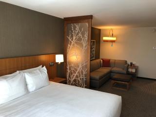 Hyatt Place St George/Convention Center - 8
