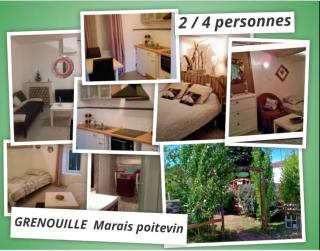 Grenouille - Vix - 9