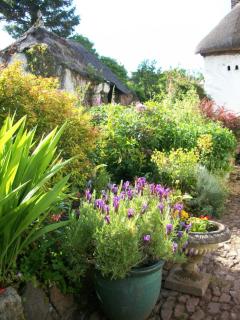 Middletown Farmhouse B&B - Okehampton - 4