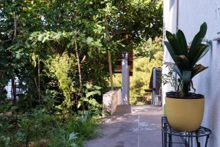 Apartments by the sea Cove Saplunara, Mljet - 4900 - 6